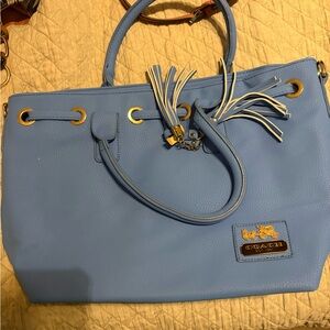 Sky Blue Leather Tote with Gold Accents